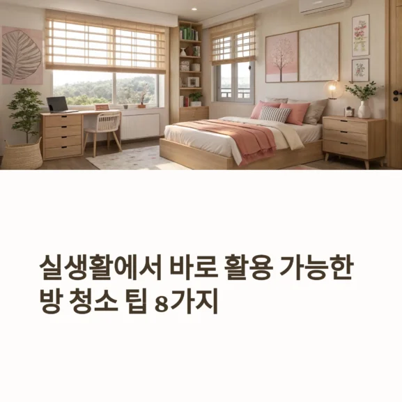 방청소