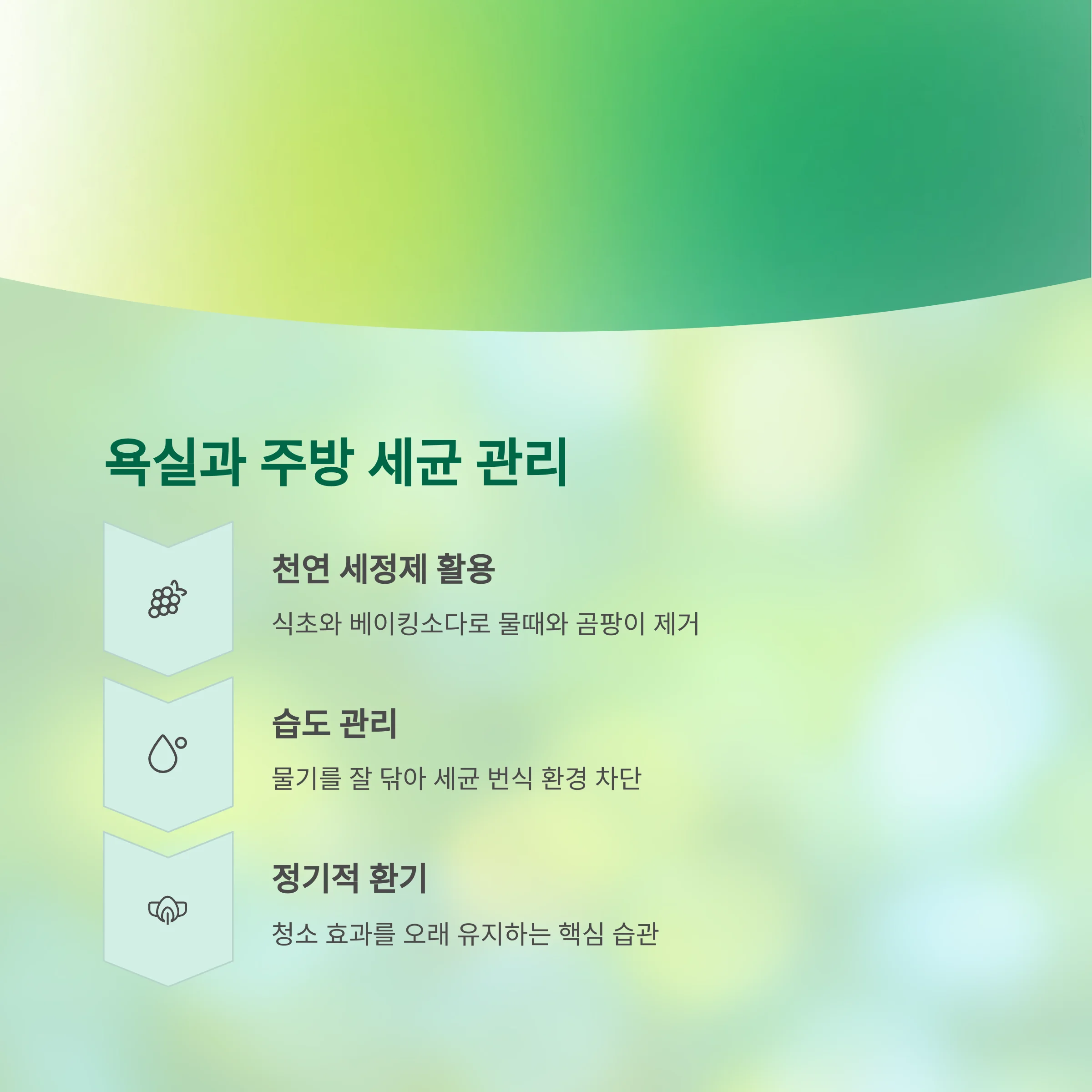 청소