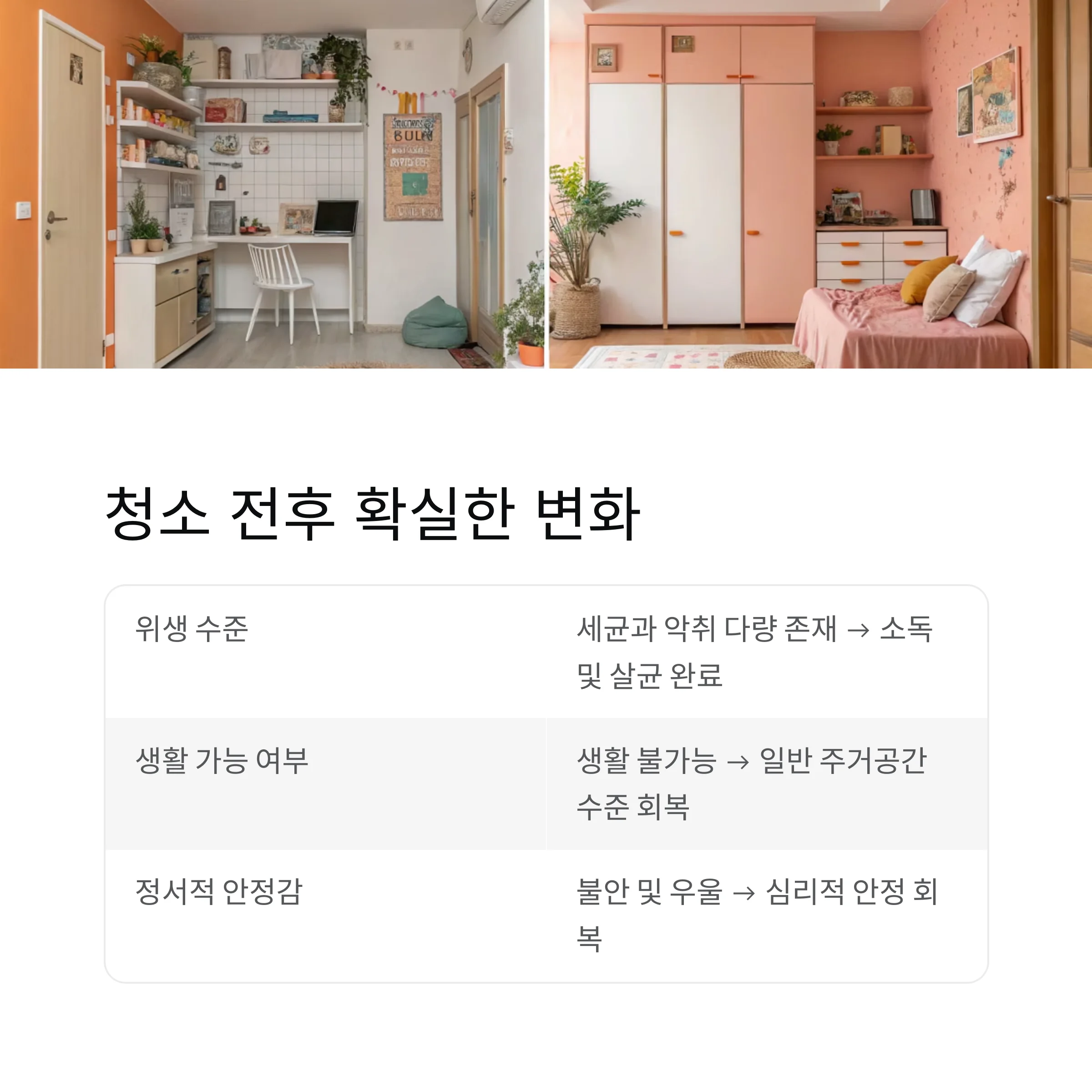 쓰레기집