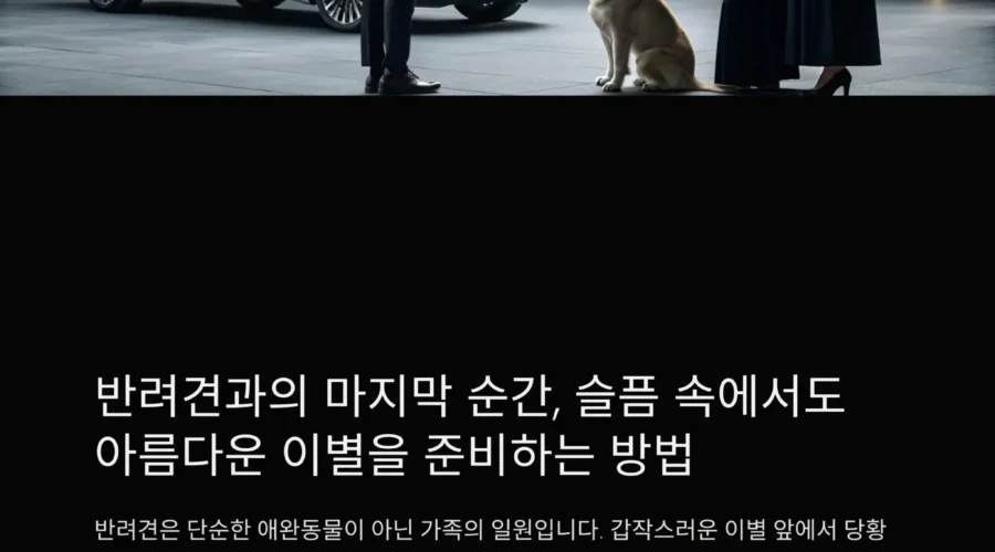 반려견 마지막 인사를 위한 따뜻한 선택, 장례 절차 안내