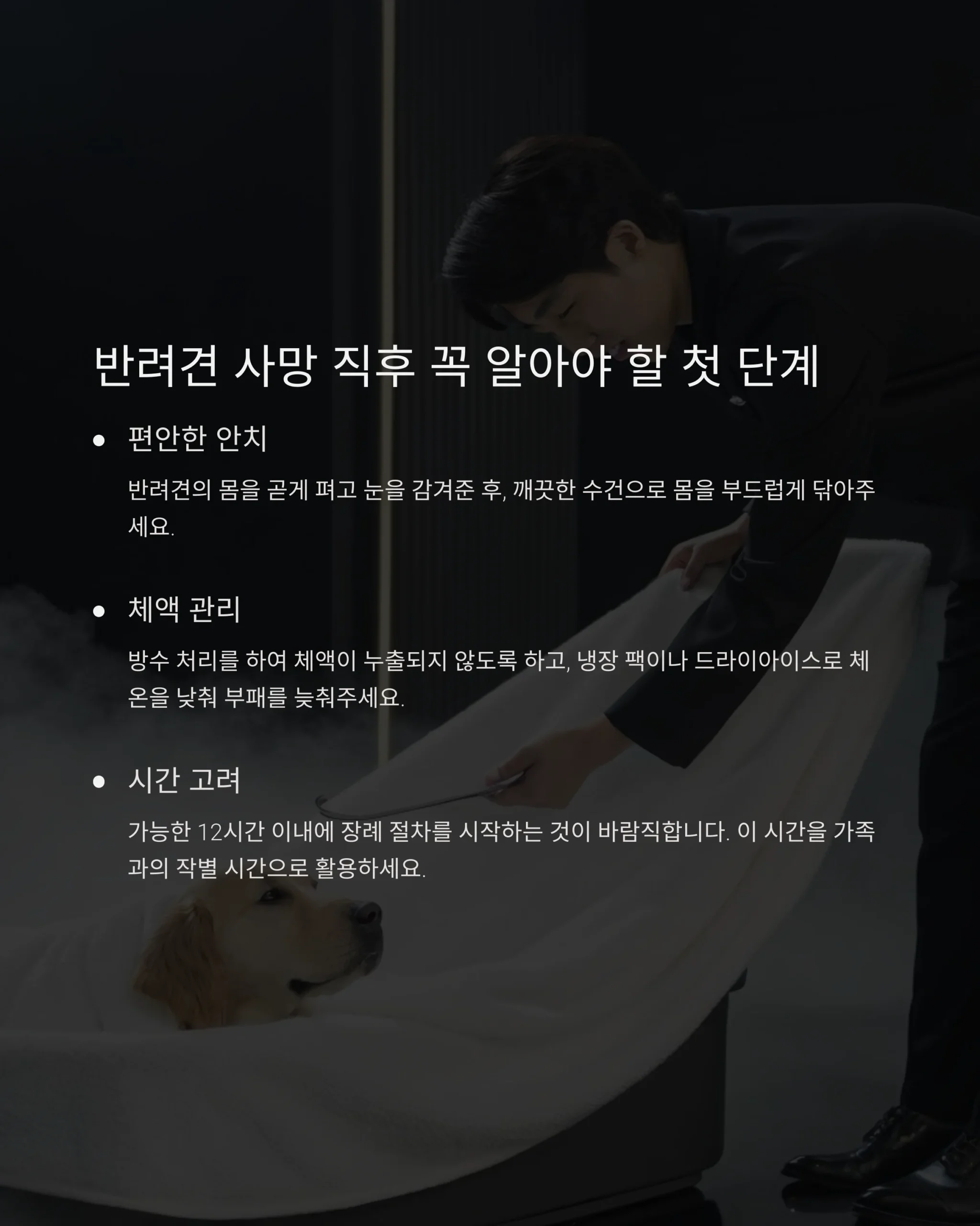 반려견 장례2