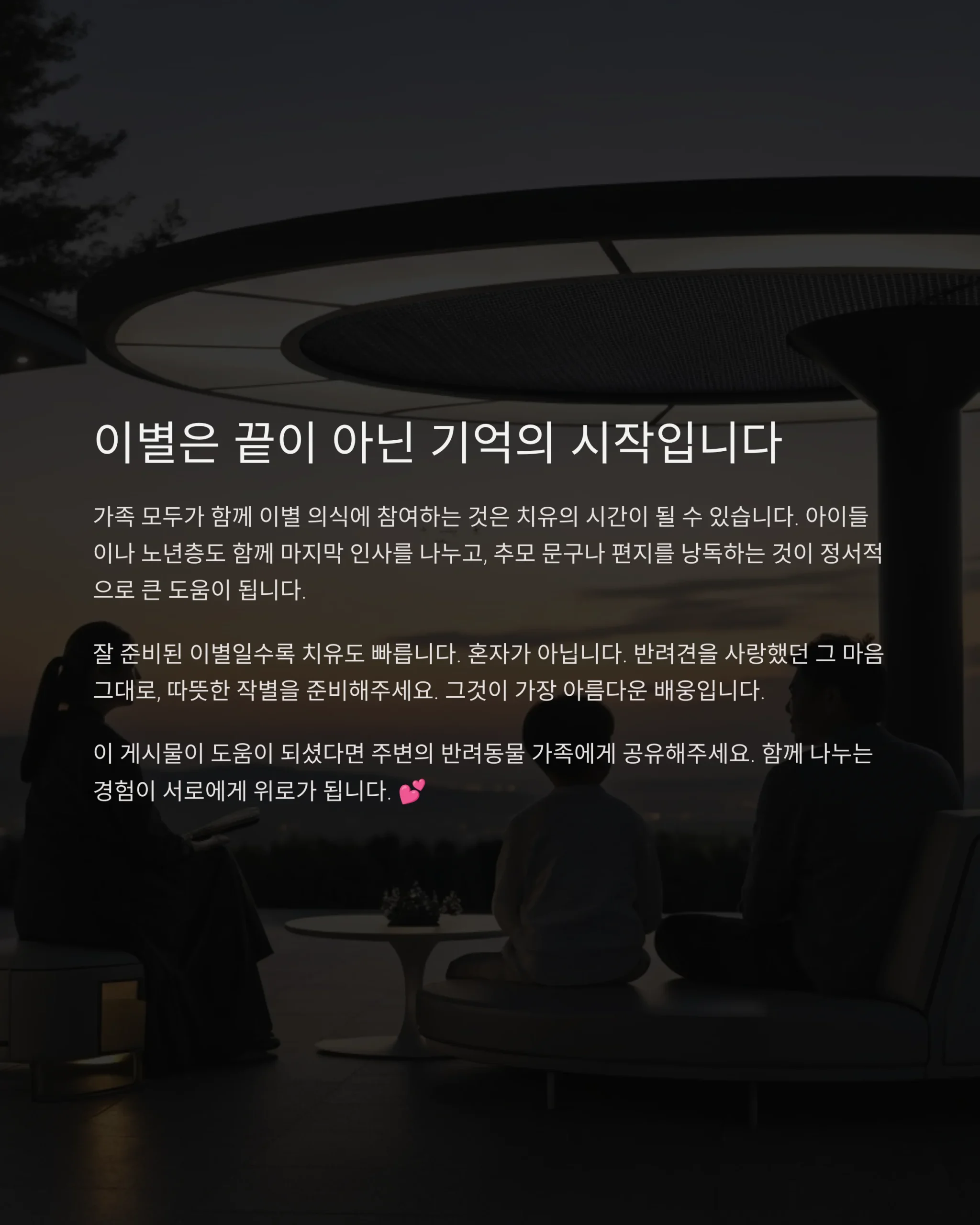 반려견 장례4