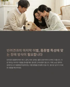 품종별 반려견 장례 방식