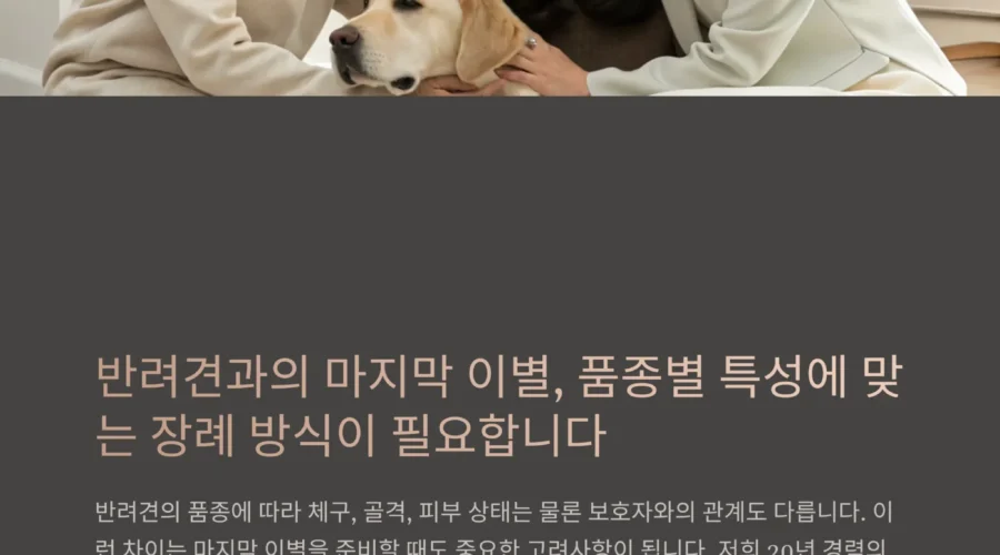 품종별 반려견 장례 방식, 왜 다르게 접근해야 할까?